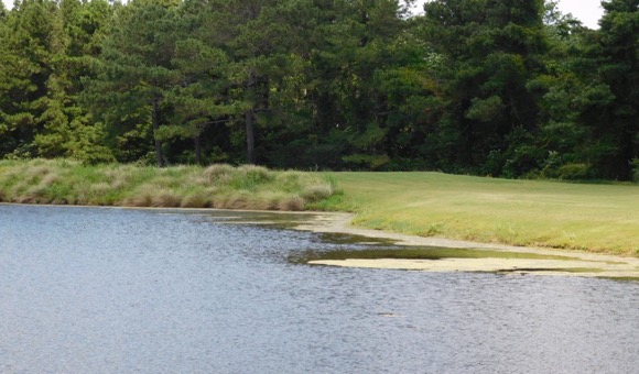 Image of Golf Course at Barefoot Golf and Resort in Myrtle Beach, SC